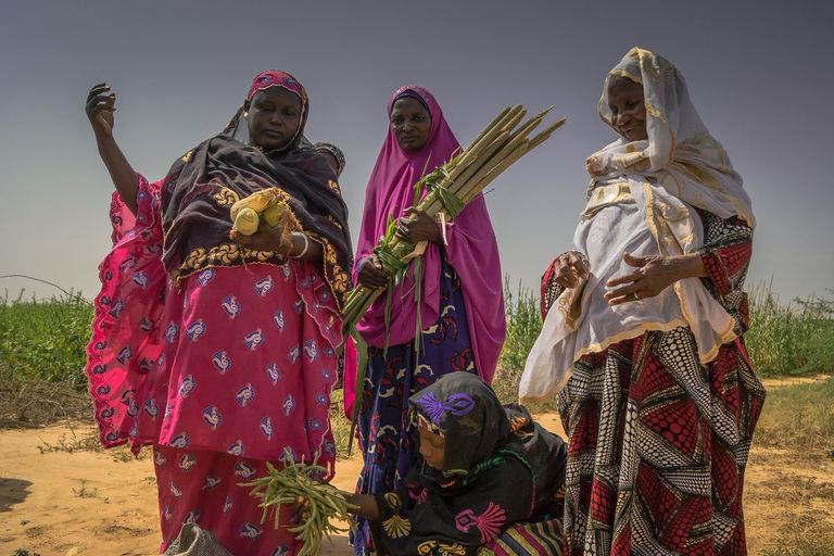 العالم يحتفل باليوم الدولي للتعاونيات لأجل مجتمعات مستدامة