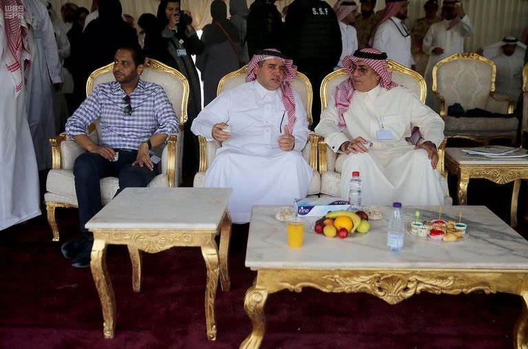 أحد الخيول المشاركة في المسابقة