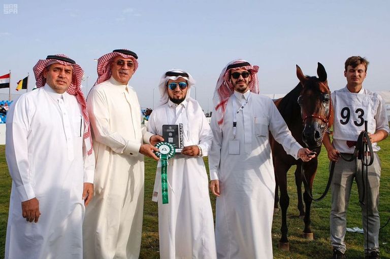 أحد الخيول المشاركة في المسابقة