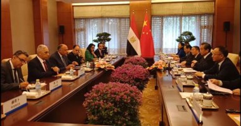 وزير الخارجية المصري ونائب الرئيس الصيني