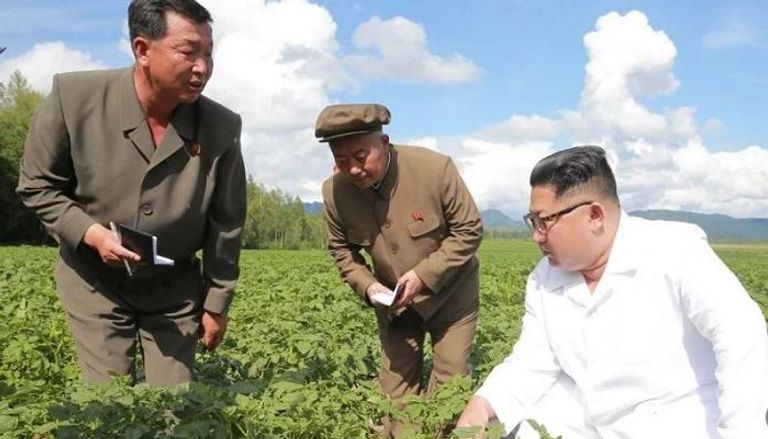 كيم أعطى نصائح خلال زيارة المزرعة لتحسين إنتاجية البطاطا