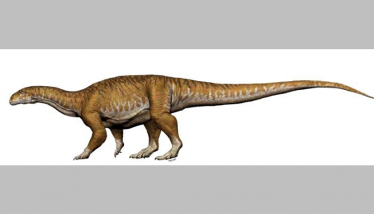 اكتشاف بقايا "إنجنتيا برايما" أقدم ديناصور عملاق 