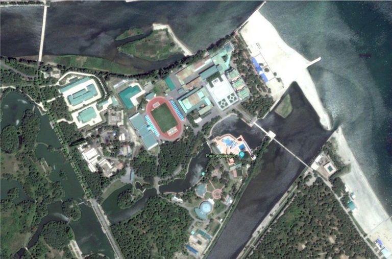 بوتين يمارس هواية جمع الفطر من غابات سيبريا مع وزير الدفاع سيرجي شويجو