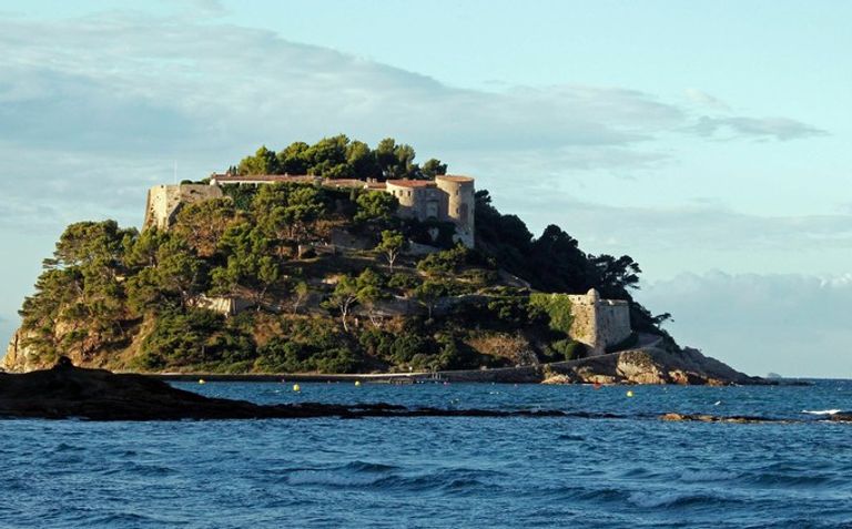 بوتين يمارس هواية جمع الفطر من غابات سيبريا مع وزير الدفاع سيرجي شويجو