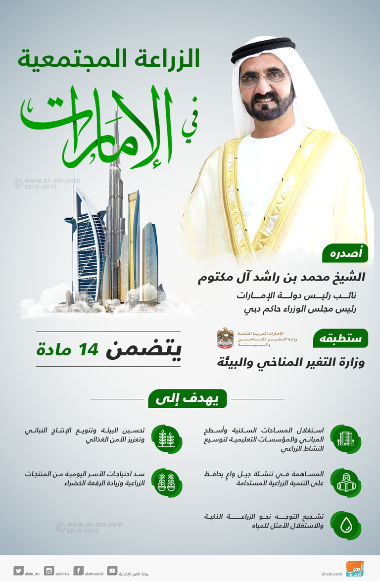 إنفوجراف.. الزراعة المجتمعية توعية وترشيد وإنتاجية 