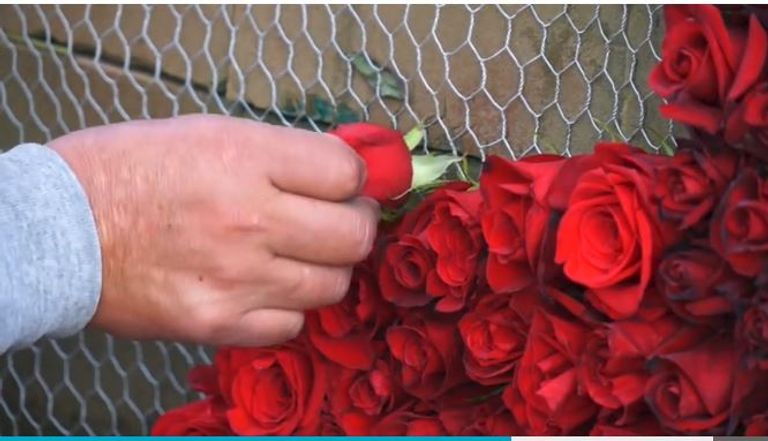 الإكوادور تسعى لدخول موسوعة جينيس بهرم من الزهور