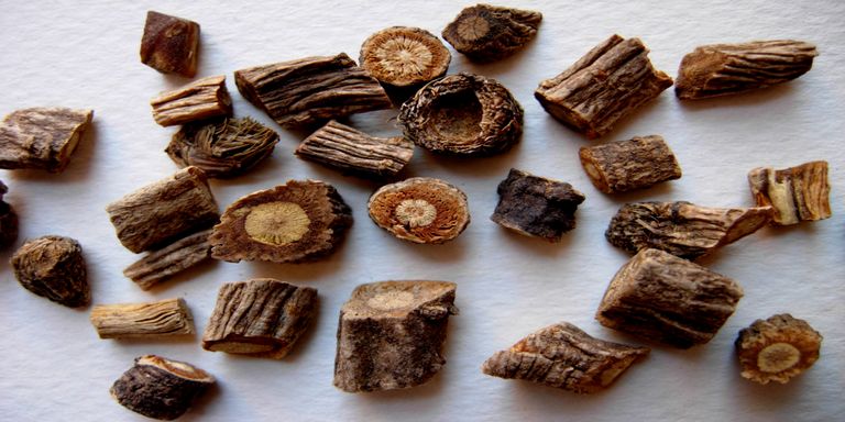 الأعشاب الصينية تحسن الصحة وتطيل العمر