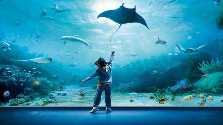 جنوة الإيطالية مدينة تبادل الثقافات