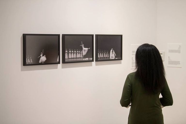 جانب من معرض الشارقة وجهة نظر 6