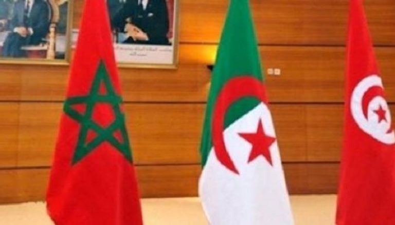 أعلام الجزائر والمغرب وتونس
