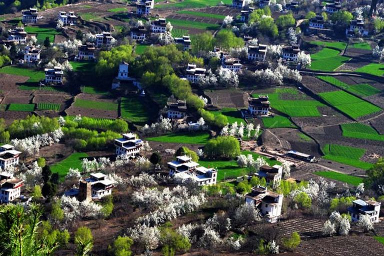 قرية وويوان