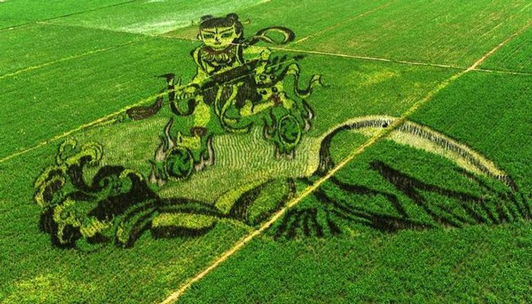 عمل فني في حقول الأرز الصينية
