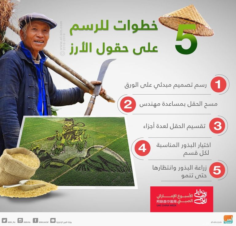 عمل فني في حقول الأرز الصينية