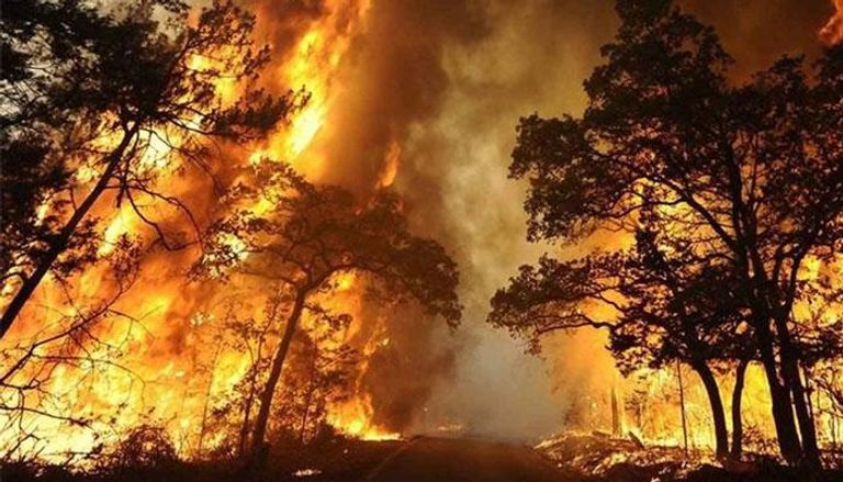 حريق في غابات كاليفورنيا