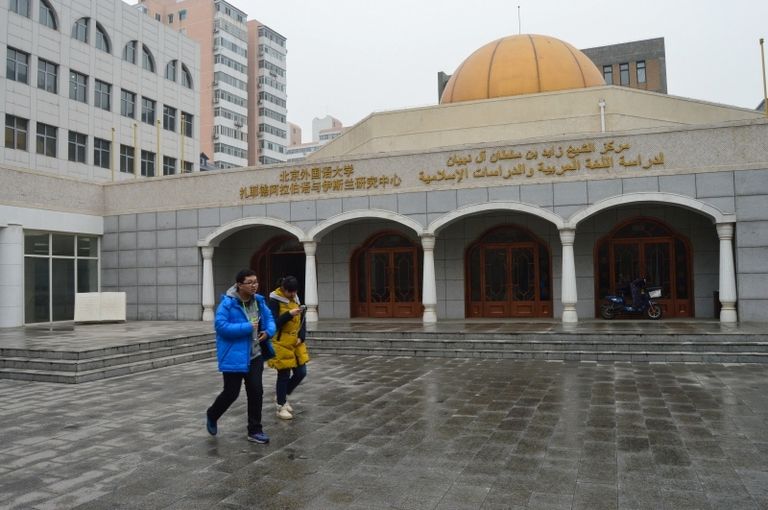 مركز الشيخ زايد لدراسة اللغة العربية والدراسات الإسلامية في الصين 