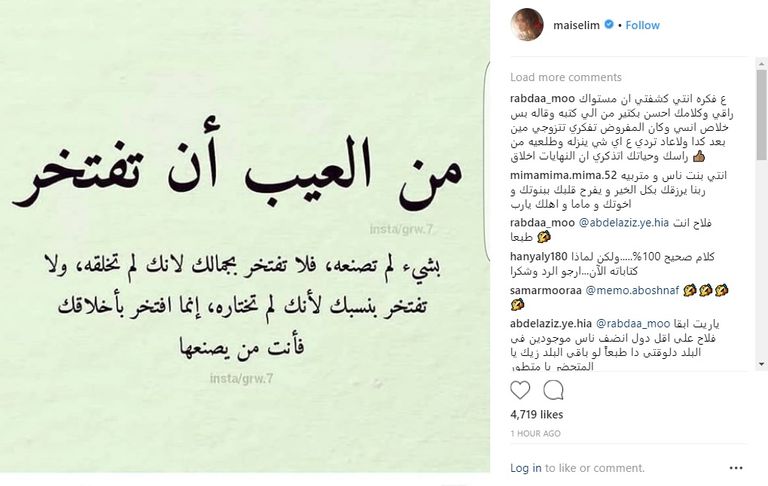 المطربة والممثلة الأردنية مي سليم - أرشيفية