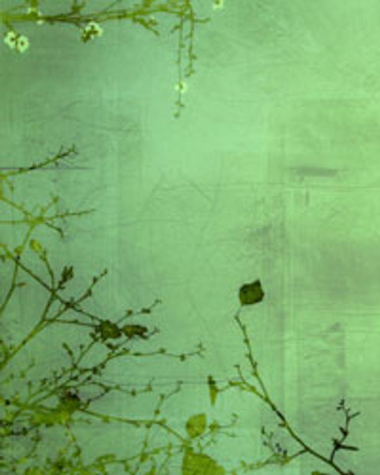 إنجازات صينية عظيمة غيرت العالم