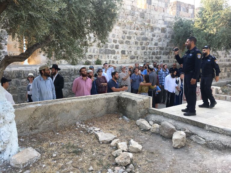 قطعان من المستوطنين يقتحمون ساحات الأقصى تحت حماية شرطة الاحتلال