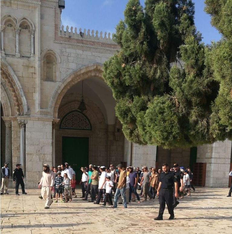 قطعان من المستوطنين يقتحمون ساحات الأقصى تحت حماية شرطة الاحتلال