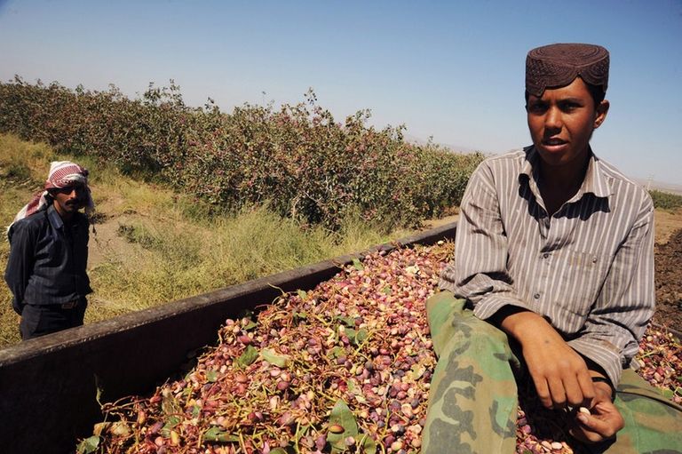 الجفاف في إيران - أرشيفية