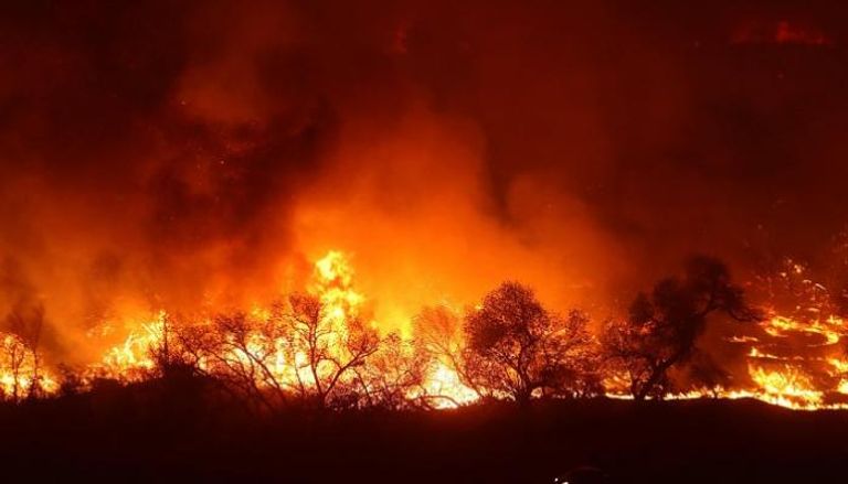 حريق في غابات كاليفورنيا - أرشيفية