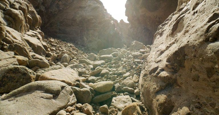 محمية وادي الوريعة في الفجيرة 