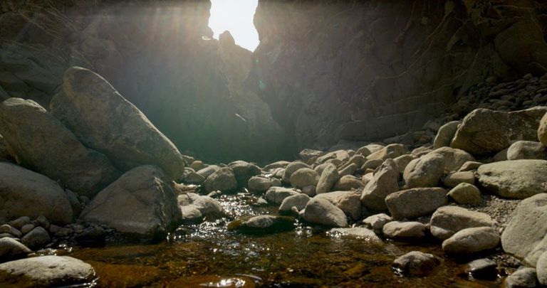 محمية وادي الوريعة في الفجيرة 