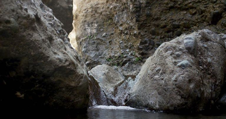 محمية وادي الوريعة في الفجيرة 