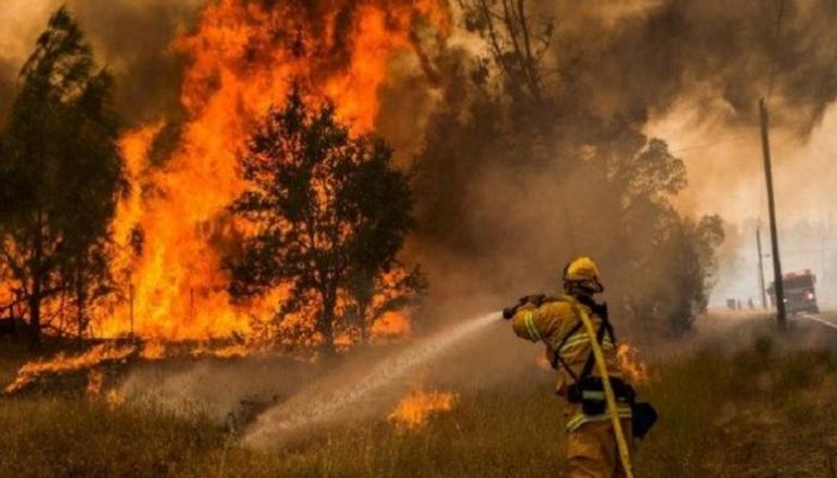 استمرار حرائق الغابات في أوروبا - أرشيفية