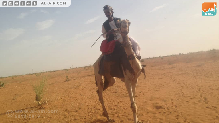 سباق الهجن في السودان