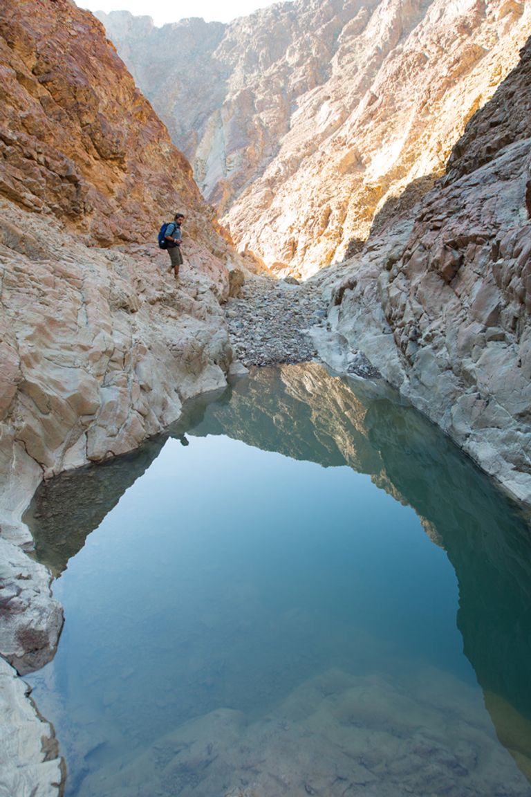 محمية وادي الوريعة بالفجيرة
