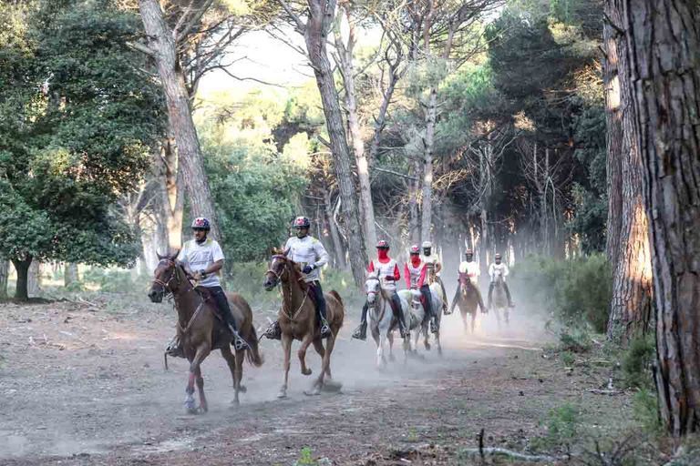 الشيخ محمد بن راشد آل مكتوم