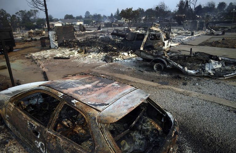 الحرائق تلتهم غابات كاليفورنيا