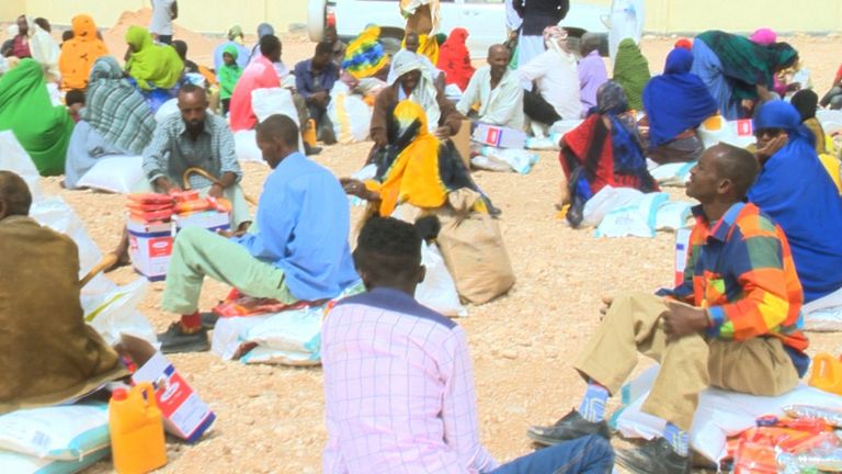 المساعدات الإماراتية للصومال