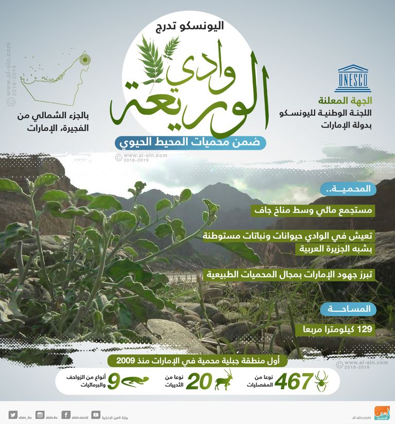 حاكم الفجيرة يستقبل فريق