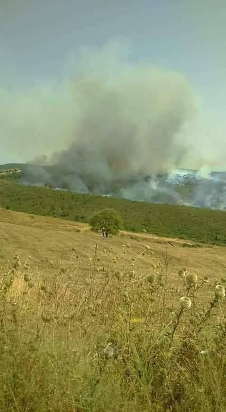 ضربات الجيش الجزائري في جبال بيسي الجيش الجزائري عازم على دحر الإرهابيين- أرشيفية