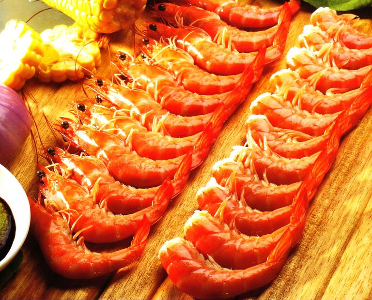 صيد الروبيان في بلجيكا يواجه خطر الاندثار