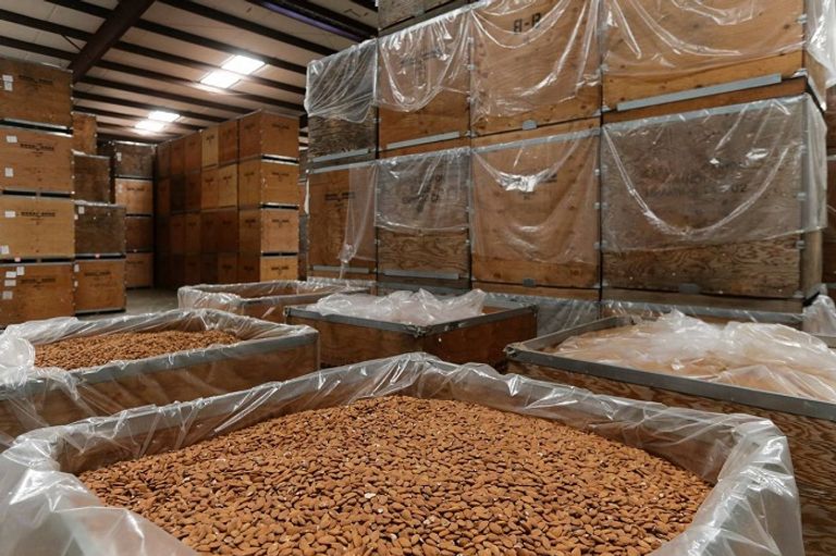 اللوز في أحد المخازن الأمريكية