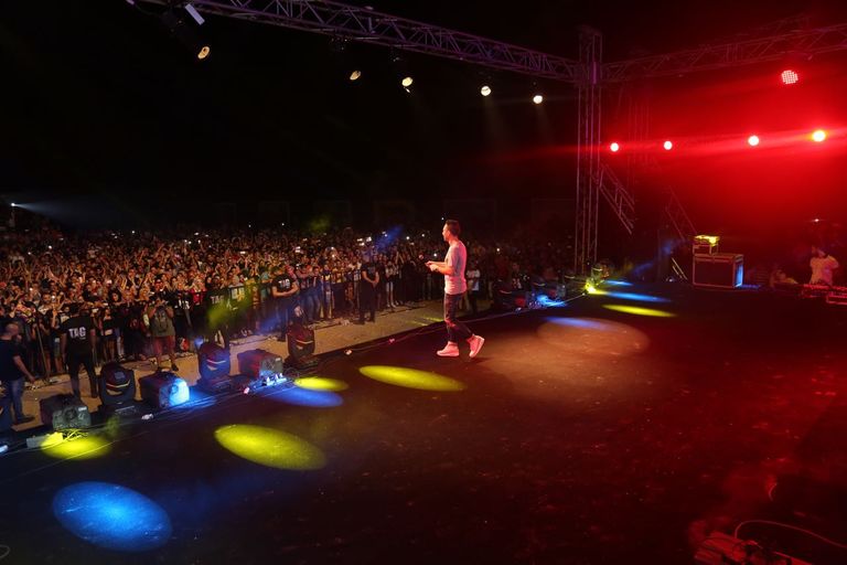 النجم المصري حسام حبيب