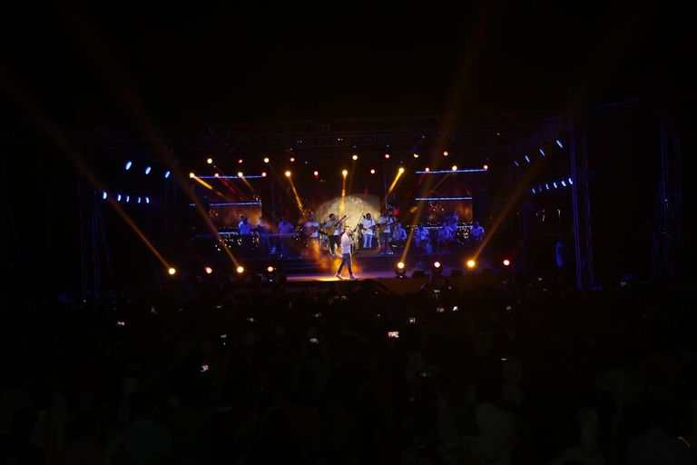 النجم المصري حسام حبيب