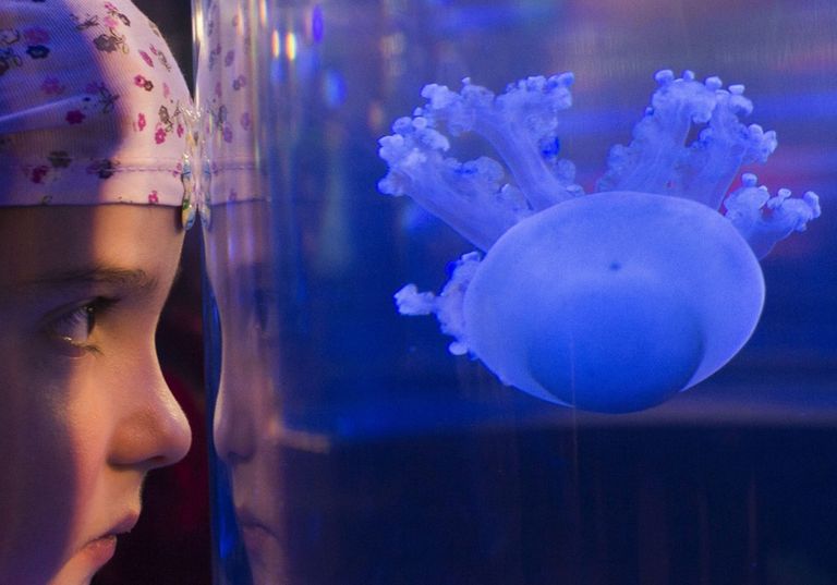 دليل إرشادات عملي للإسعافات الأولية للآباء