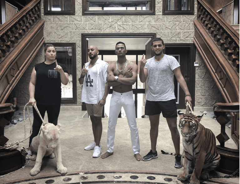 حسام الحسيني مخرج أغنيتي "نمبر وان" و"100 وش"