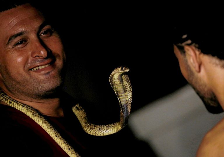 أمير الرفاعي خلال أحد العروض