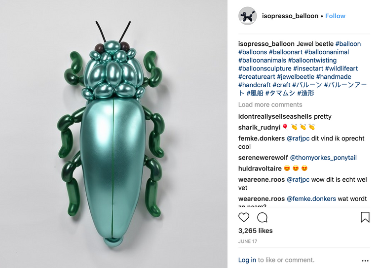 إبداعات الفنان الياباني ماسايوشي ماتسوموتو إبداعات الفنان الياباني