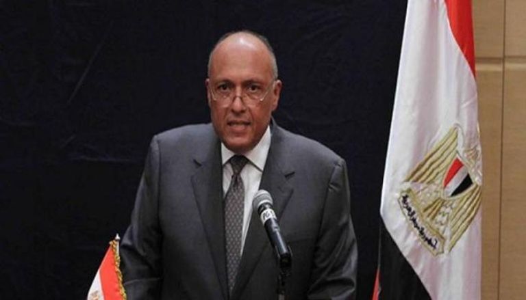 وزير الخارجية المصري سامح شكري- أرشيفية