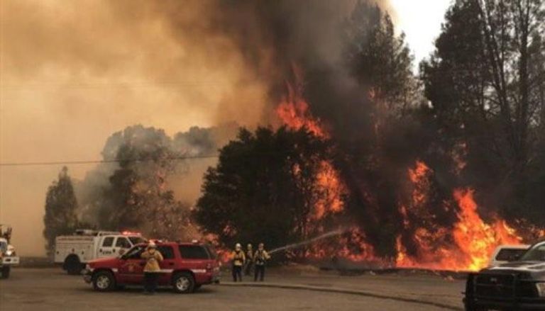 أفراد من الإطفاء يكافحون حريق غابات بافاريا 