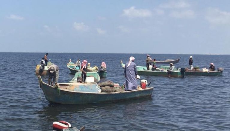بحيرة البردويل.. قبلة الباحثين عن أجود أنواع الأسماك في مصر