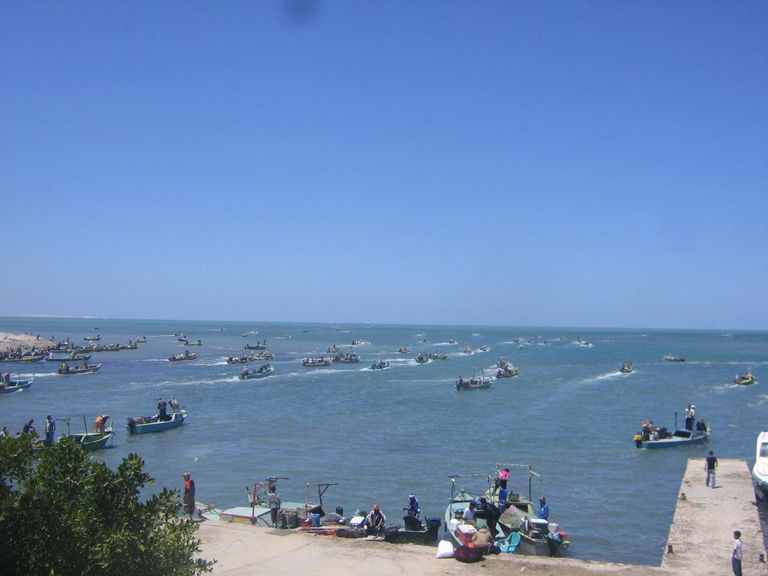 بحيرة البردويل.. قبلة الباحثين عن أجود أنواع الأسماك في مصر