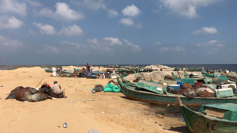 بحيرة البردويل.. قبلة الباحثين عن أجود أنواع الأسماك في مصر