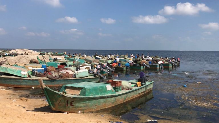 بحيرة البردويل.. قبلة الباحثين عن أجود أنواع الأسماك في مصر